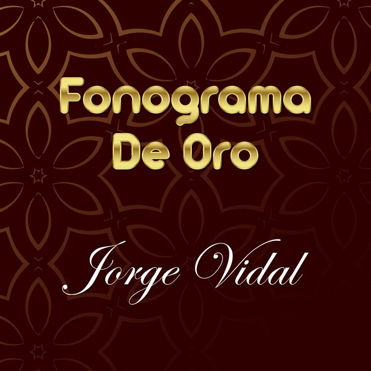 Jorge Vidal's avatar image