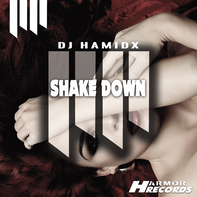 DJ HamidX's avatar image