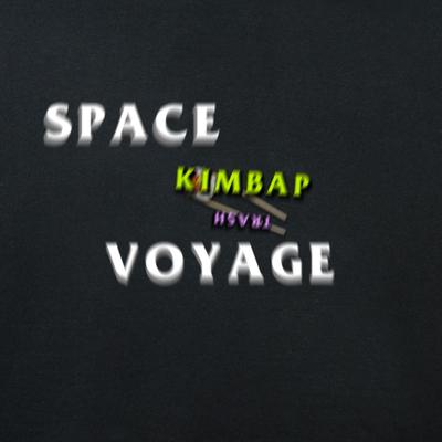 Space Voyage's cover