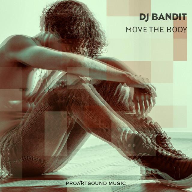DJ BANDIT's avatar image