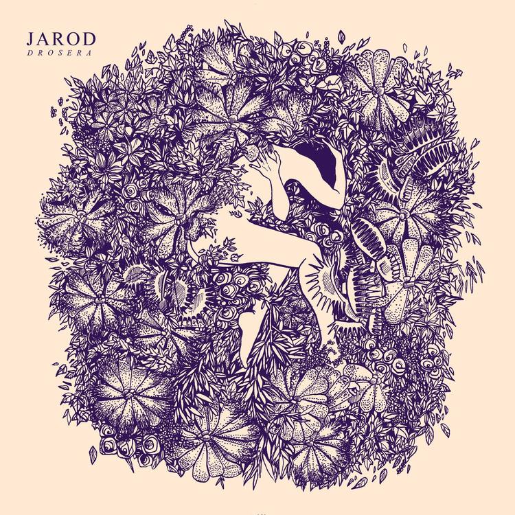 Jarod's avatar image