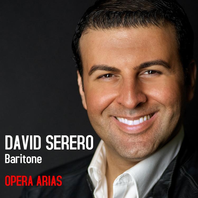 David Serero's avatar image