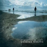 Domina Noctis's avatar cover