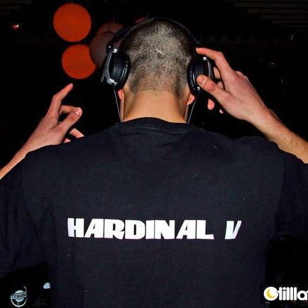 Hardinal V's avatar image