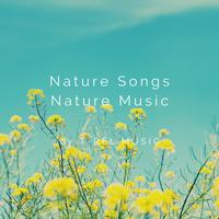 Nature Songs Nature Music's avatar cover