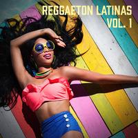 Fiesta Reggaeton Dj's avatar cover