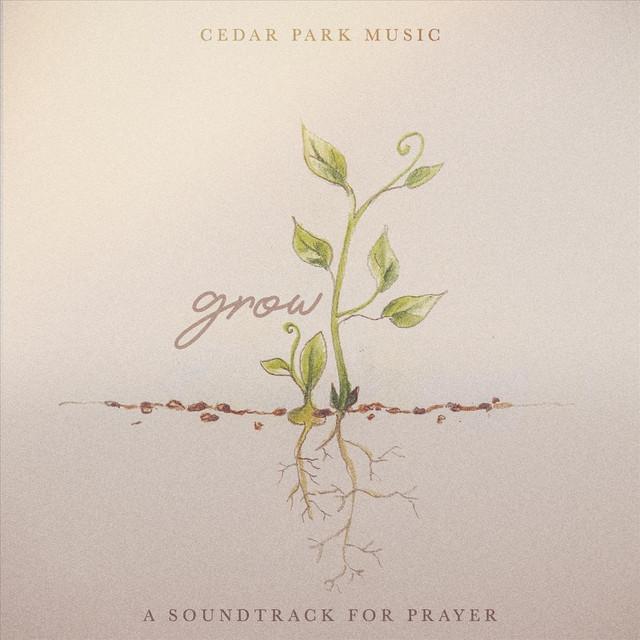 Cedar Park Music's avatar image