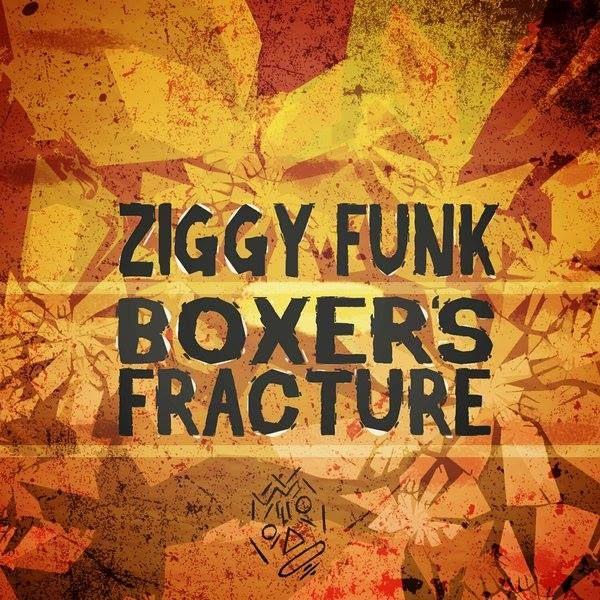 Ziggy Funk's avatar image