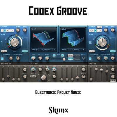 Skunx electronic project music's cover