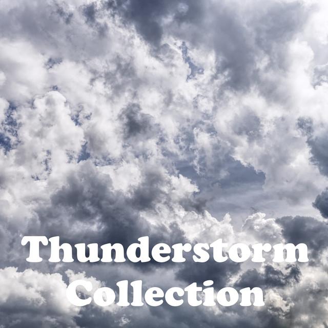 Rain & Thunder's avatar image