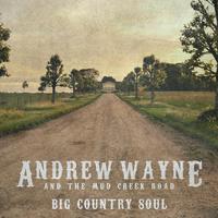 Andrew Wayne & the Mud Creek Road's avatar cover