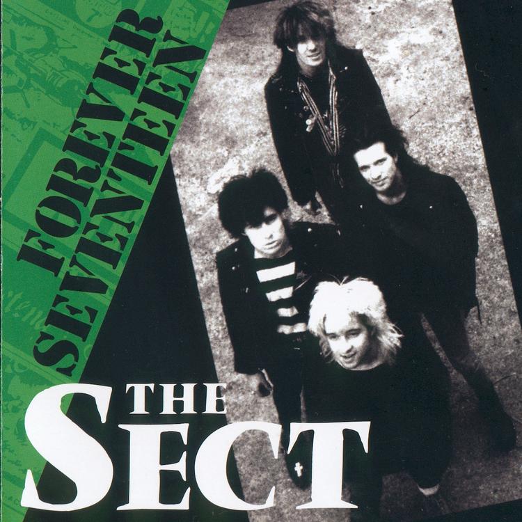 The Sect's avatar image