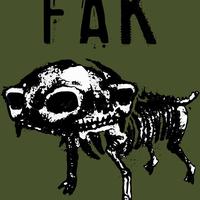 FAK's avatar cover