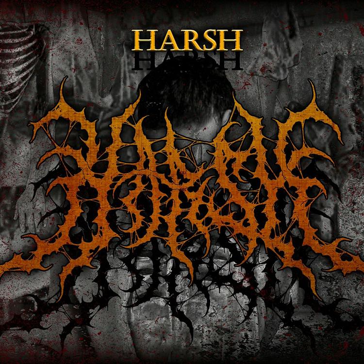 Harsh's avatar image