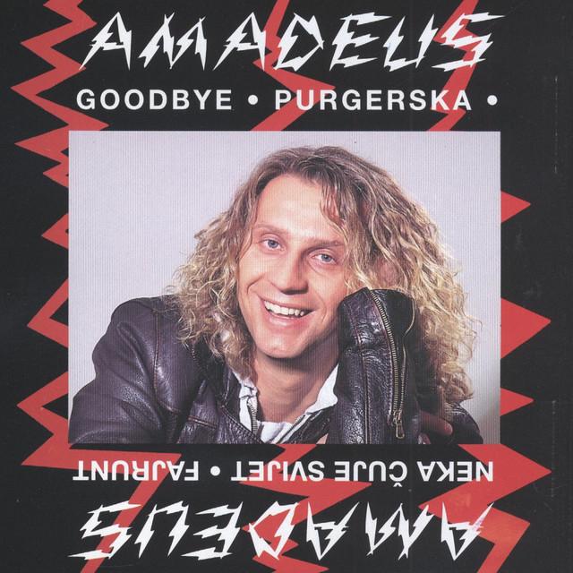 Amadeus's avatar image