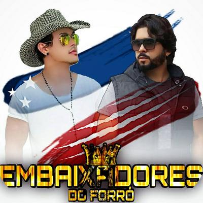 Os Embaixadores Do Forró's cover