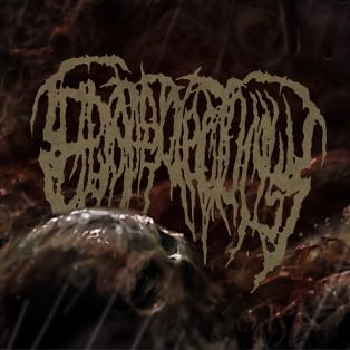 Epicardiectomy's cover