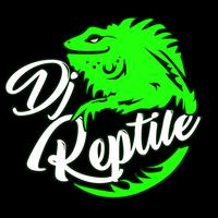 Dj Reptile's avatar cover