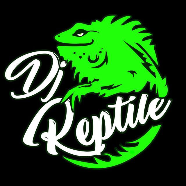 Dj Reptile's avatar image