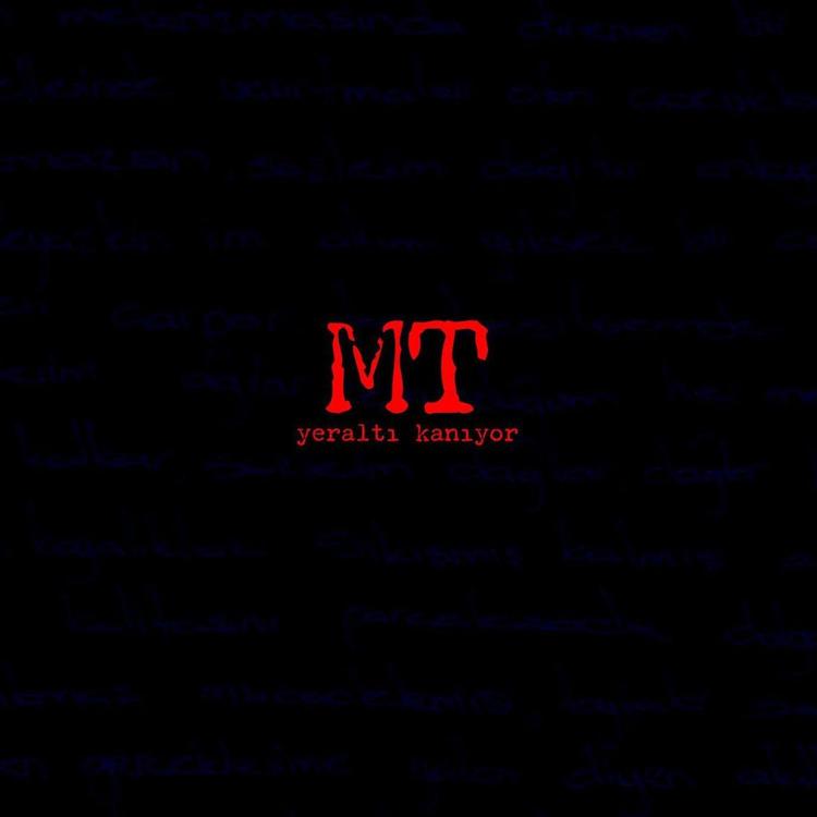 M.T's avatar image