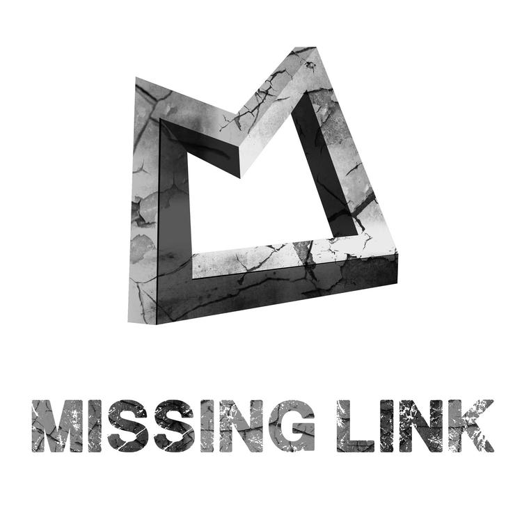 Missing Link's avatar image