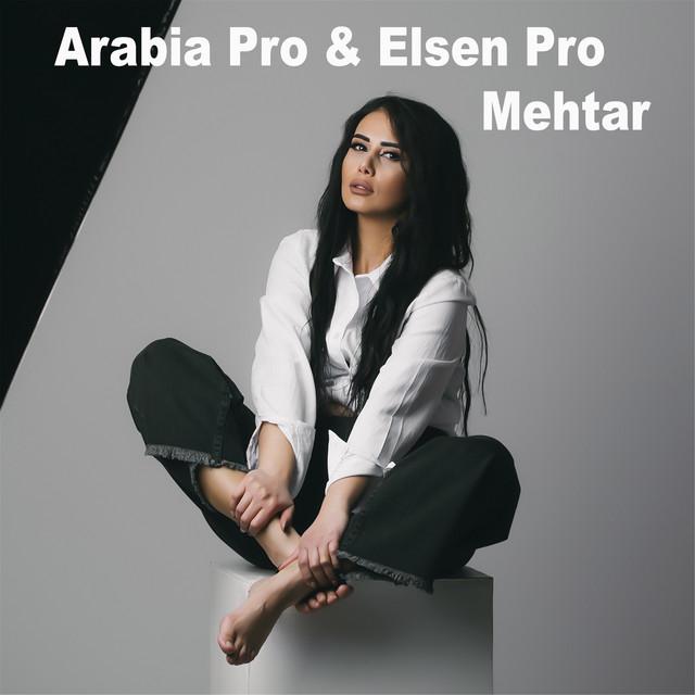 Arabia Pro's avatar image