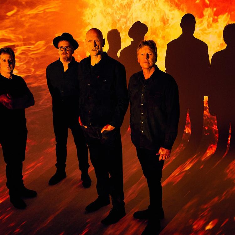 Midnight Oil's avatar image