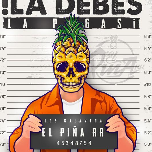 El piña RR's avatar image