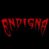 Endigna's avatar cover
