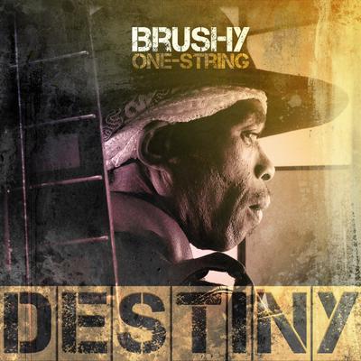 Brushy One String's cover