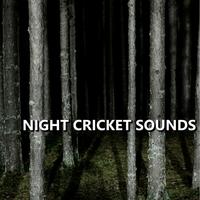 Cricket Sounds's avatar cover