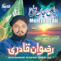 Muhammad Rizwan Qadri's avatar cover