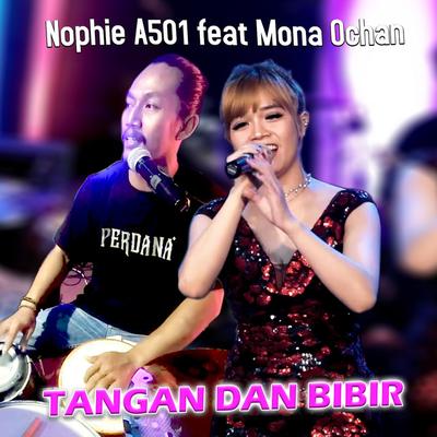 Nophie A501's cover