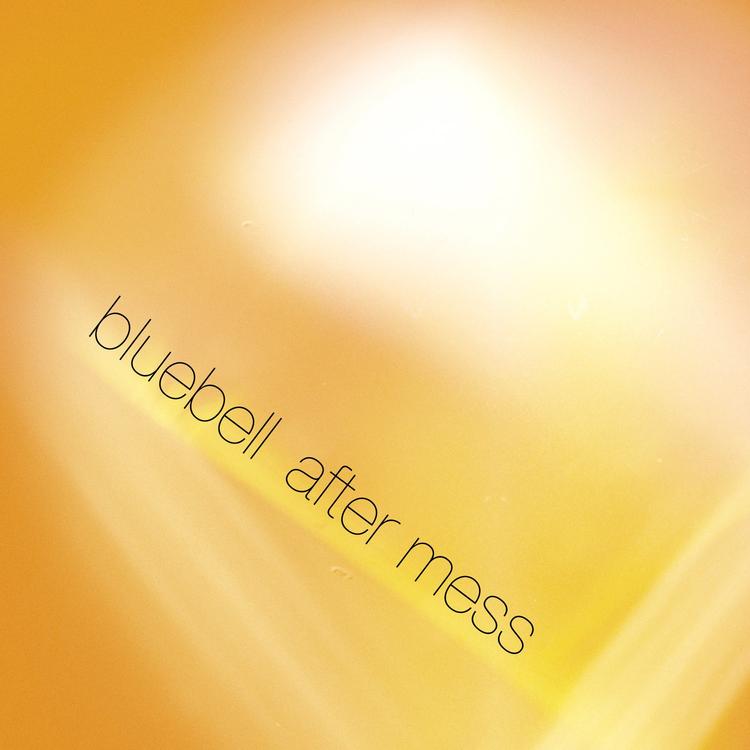 Bluebell's avatar image