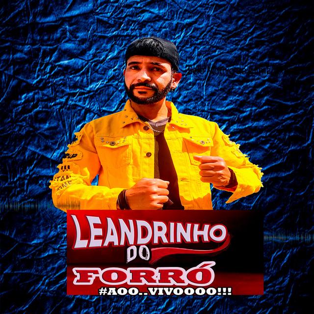 Leandrinho do Forró's avatar image