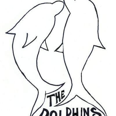 The Dolphins's cover