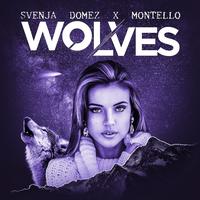Svenja Domez's avatar cover