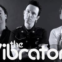 The Vibrators's avatar cover