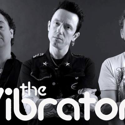 The Vibrators's cover