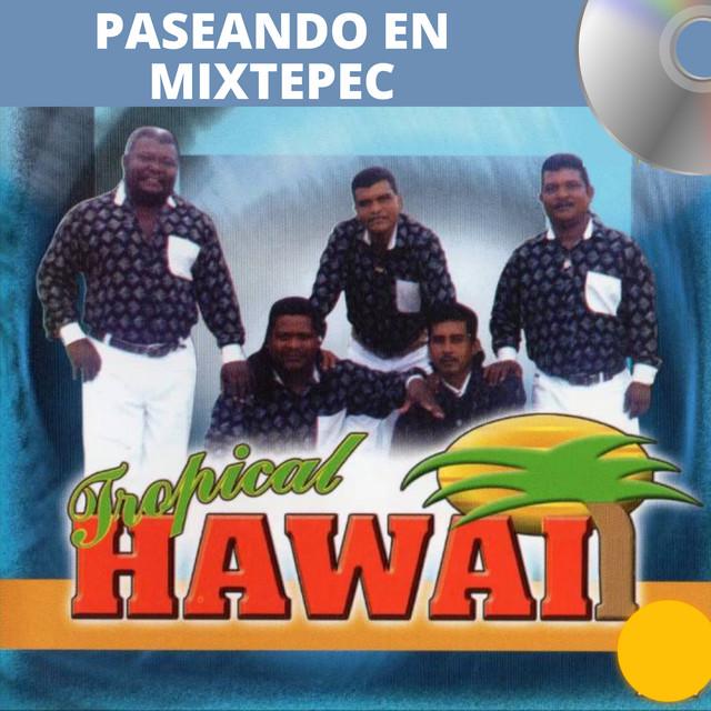 Tropical Hawaii's avatar image