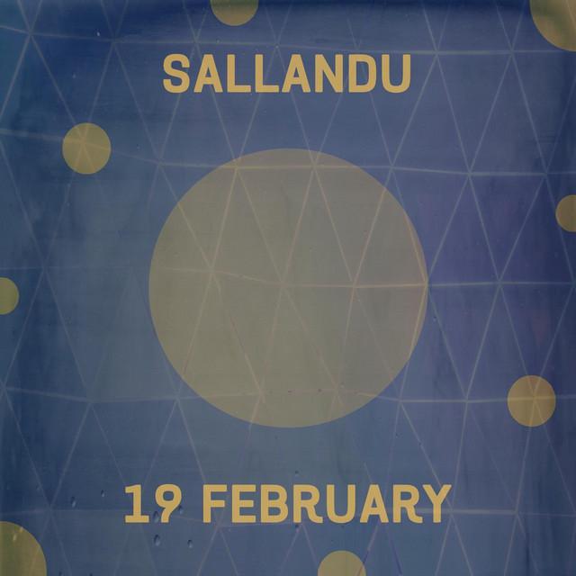 Sallandu's avatar image