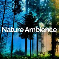 Nature Ambience's avatar cover