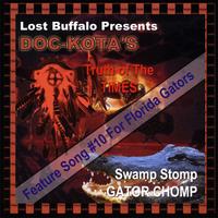 Lost Buffalo's avatar cover