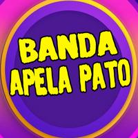 Banda Apela Pato's avatar cover