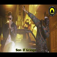 Son D' Gringo's avatar cover