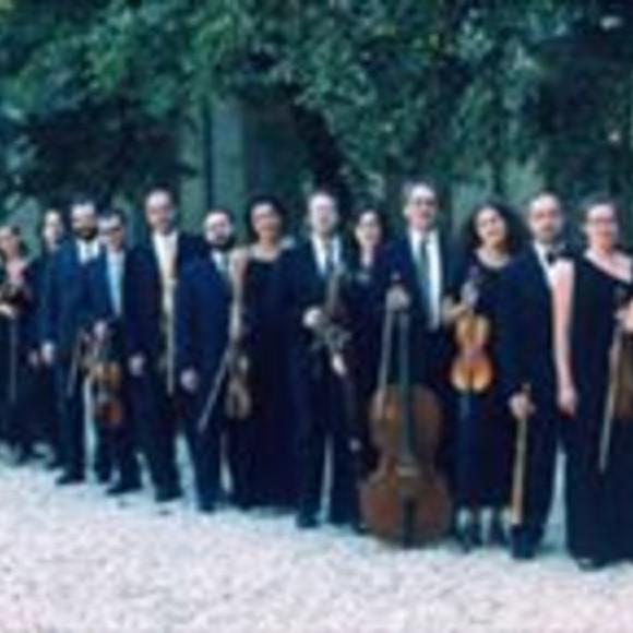 Concerto Italiano's avatar image