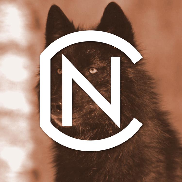 nCamargo's avatar image
