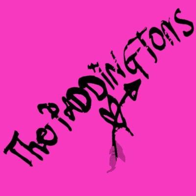 The Paddingtons's cover