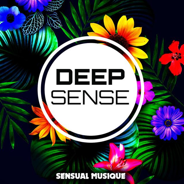 Deep Sense's avatar image