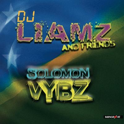 DJ Liamz's cover